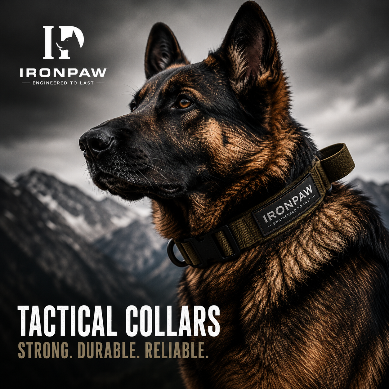 Tactical Collars