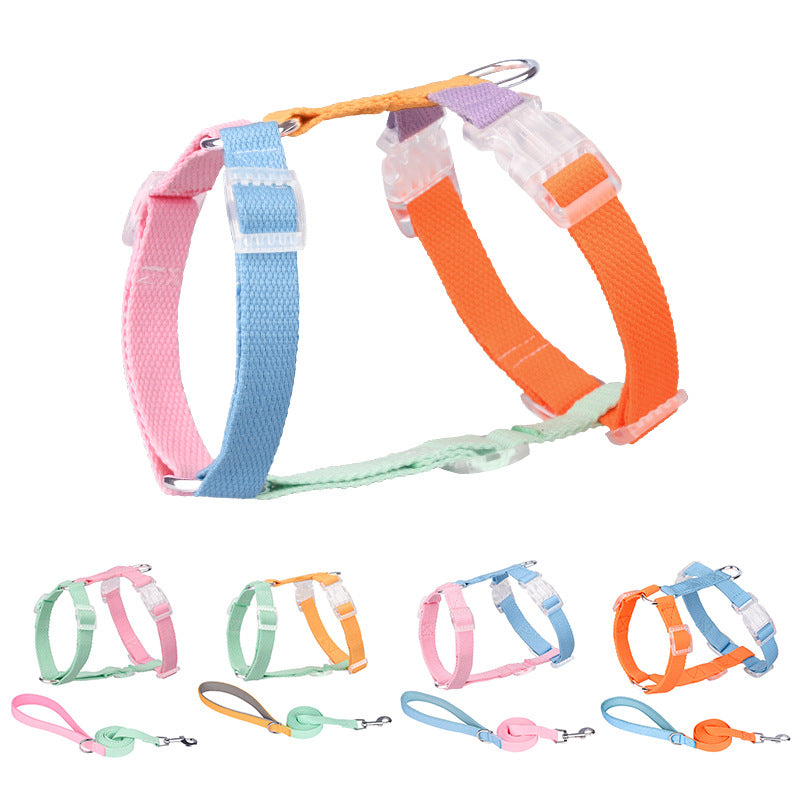 IronPaw™ Duo-Tone Synergy Harness Set