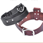Iron Paw™ Iron Hide: Tactical Grade Full Grain Leather Collar
