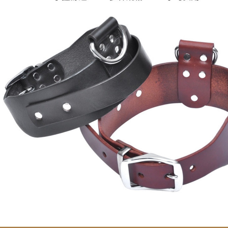 Iron Paw™ Iron Hide: Tactical Grade Full Grain Leather Collar