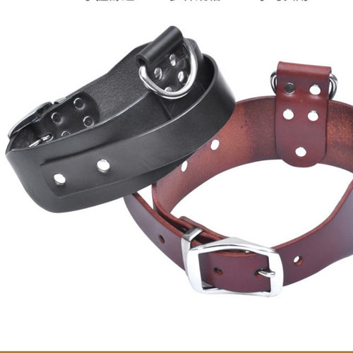Iron Paw™ Iron Hide: Tactical Grade Full Grain Leather Collar