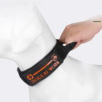 Iron Paw™ Sentinel Tactical Collar – Ultra-Durable K9 Nylon with Cobra-Link Buckle