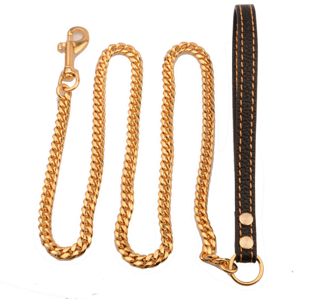 IronPaw™ Stainless Steel Chain Lead