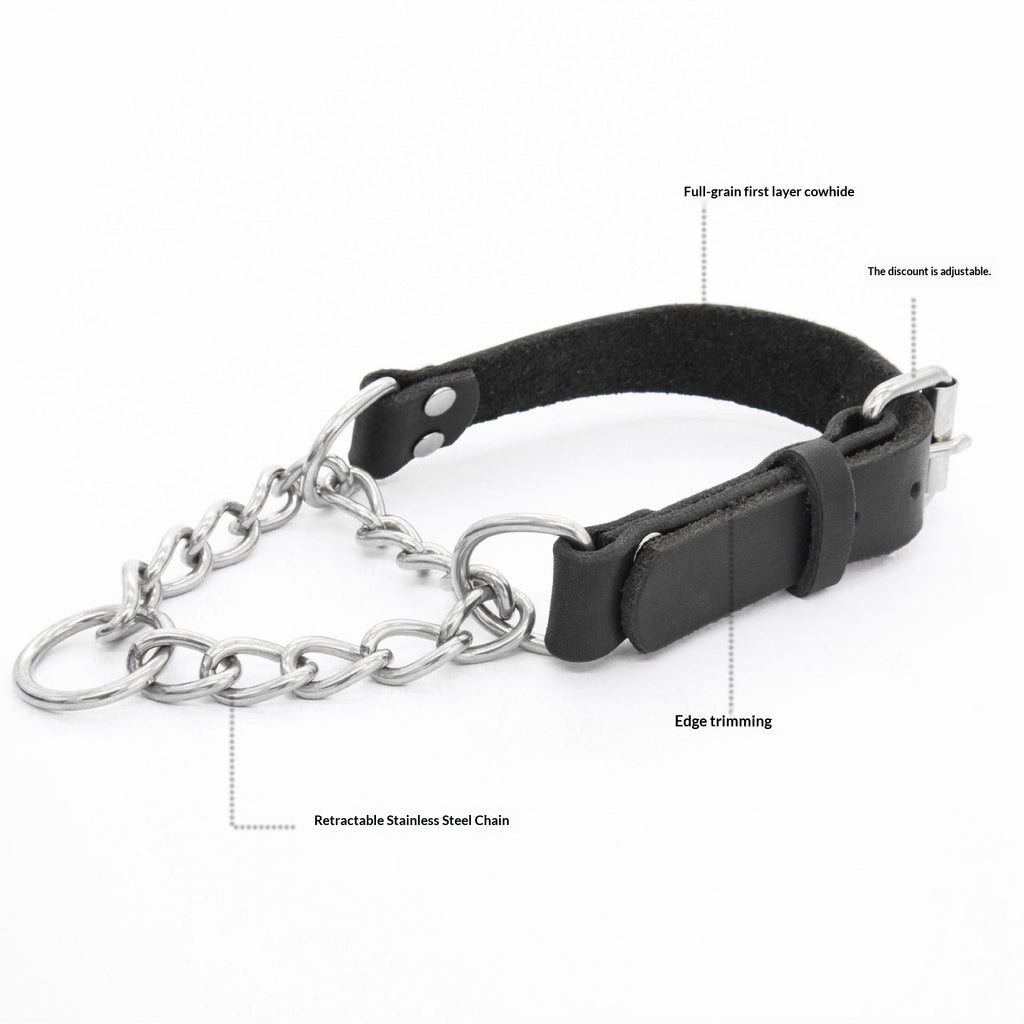 Iron Paw™ Zenith Series: Padded Full-Grain Leather Collar