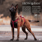 IronPaw™ Atlas K9 Series Anti Escape Vest
