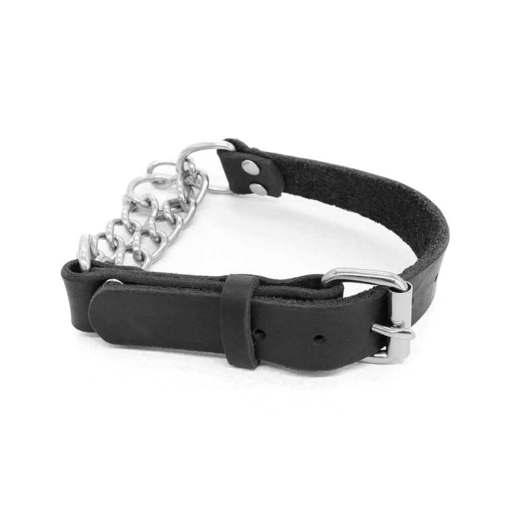 Iron Paw™ Zenith Series: Padded Full-Grain Leather Collar