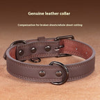 IronPaw™ Heritage Full-Grain Leather Collar