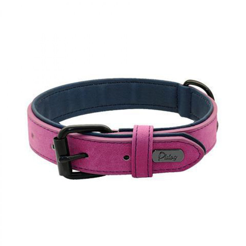 Iron Paw™ Signature series: Padded Leather ID Collar With Integrated Nameplate