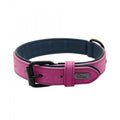Iron Paw™ Signature series: Padded Leather ID Collar With Integrated Nameplate