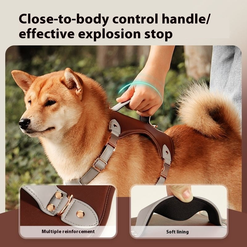 IronPaw™ Signature Series: Padded Armor-Shell Harness