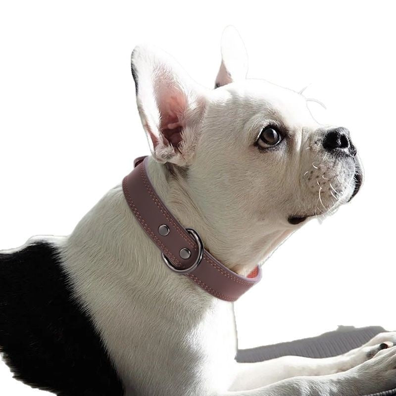 IronPaw™ Heritage Full-Grain Leather Collar