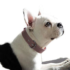 IronPaw™ Heritage Full-Grain Leather Collar