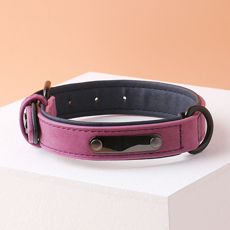 Iron Paw™ Signature series: Padded Leather ID Collar With Integrated Nameplate