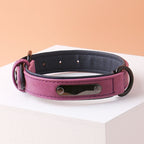 Iron Paw™ Signature series: Padded Leather ID Collar With Integrated Nameplate
